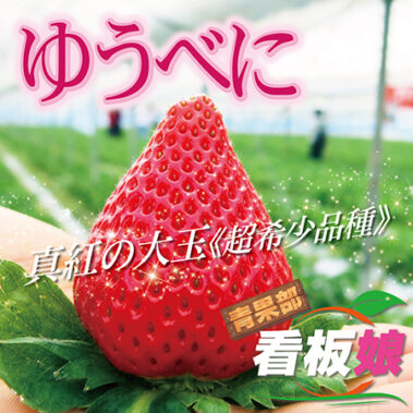 2019.01.30_honbu_blog_0