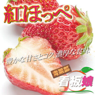 2019.02.28_honbu_blog_0