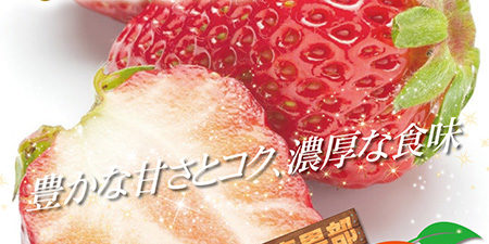 2019.02.28_honbu_blog_0