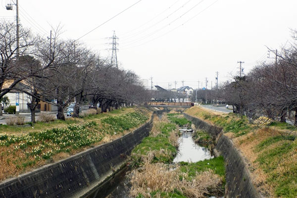 石川沿い