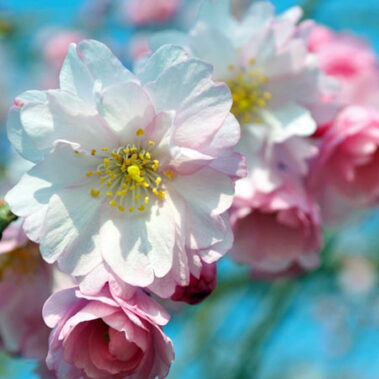 2019.03.15_honten_blog_7