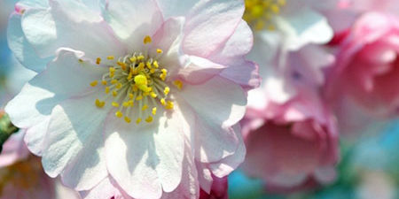 2019.03.15_honten_blog_7