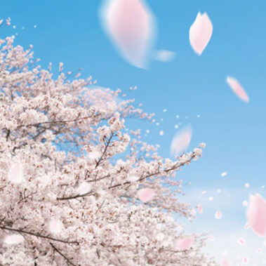 2019.04.14_ano_blog_1