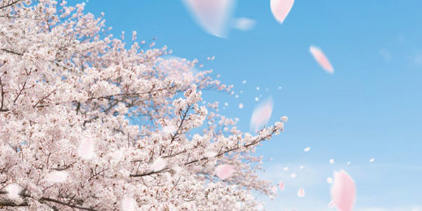 2019.04.14_ano_blog_1