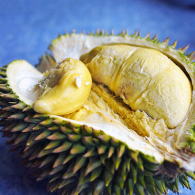 2019.04.17_sumiyoshi_blog_1