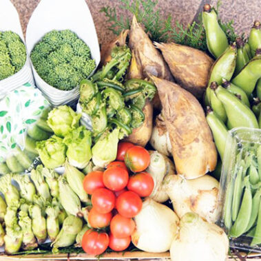 2019.04.20_shinden_blog_1