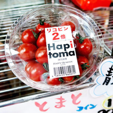 2019.05.15_honten_blog_1