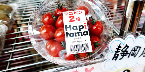 2019.05.15_honten_blog_1