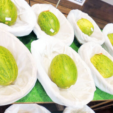 2019.05.23_kuchida_blog_1