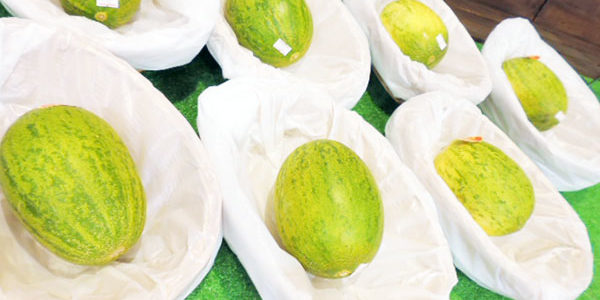 2019.05.23_kuchida_blog_1