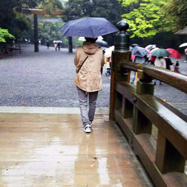 2019.06.01_honten_blog_6