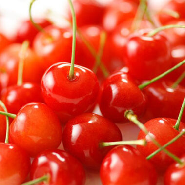 2019.06.09_kuchida_blog_1