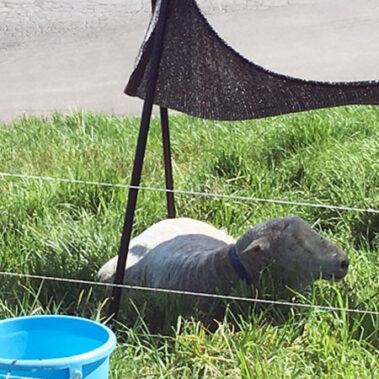 2019.06.18_daito_blog_1