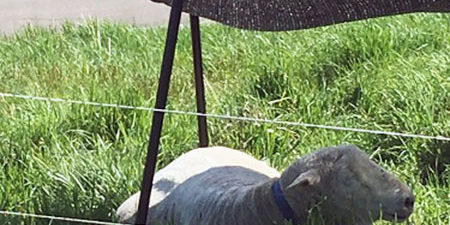 2019.06.18_daito_blog_1