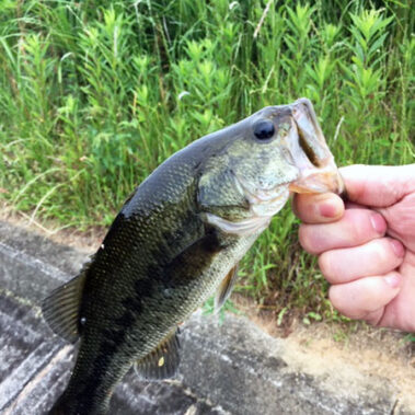 2019.06.26_ekimae_blog_9