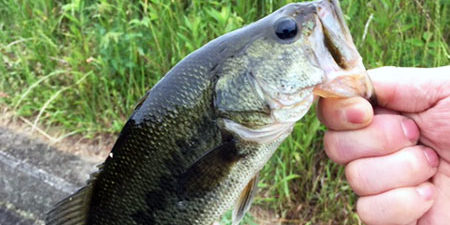 2019.06.26_ekimae_blog_9