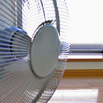 2019.07.09_kuchida_blog_1