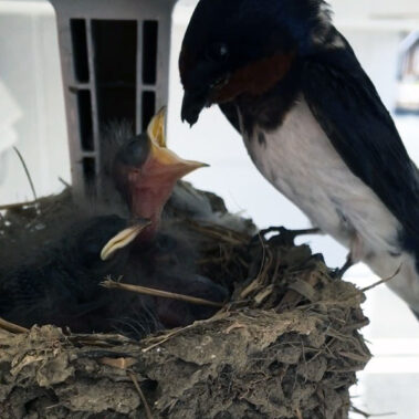 2019.07.23_kuchida_blog_3