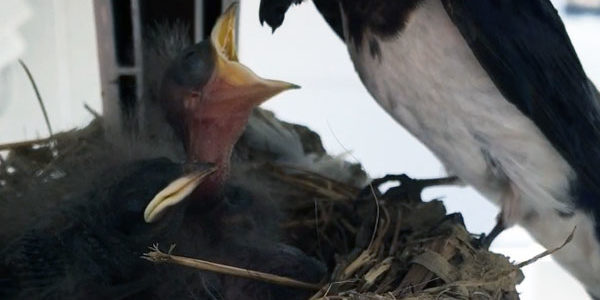 2019.07.23_kuchida_blog_3