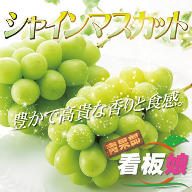 2019.07.30-2_honbu_blog_0