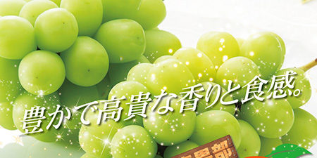 2019.07.30-2_honbu_blog_0