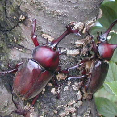 2019.08.01_honten_blog_0