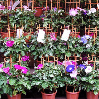 2019.08.09_kuchida_blog_1