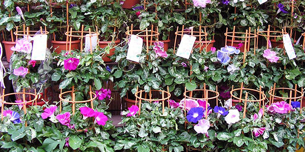 2019.08.09_kuchida_blog_1