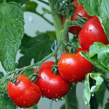 2019.09.15_honten_blog_0