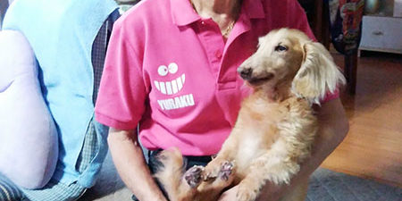 2019.11.01_honten_blog_4