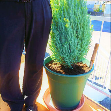 2019.11.15_honten_blog_9