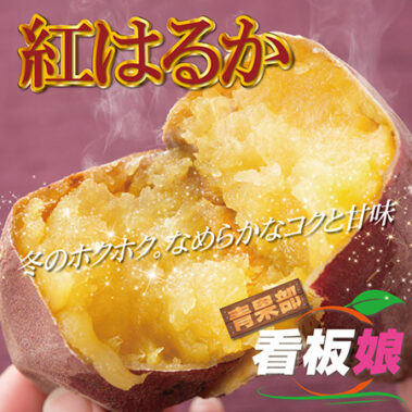 2019.11.30_honbu_blog_0