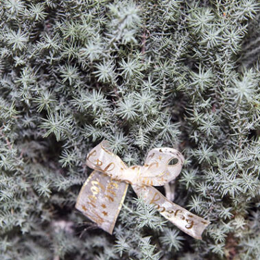 2019.12.15_honten_blog_13