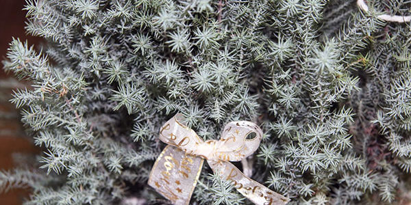 2019.12.15_honten_blog_13