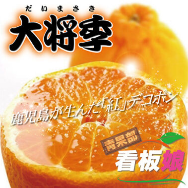 2019.12.30_honbu_blog_0