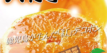 2019.12.30_honbu_blog_0