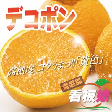 2020.01.30_honbu_blog_0