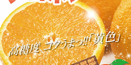 2020.01.30_honbu_blog_0