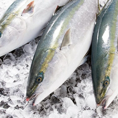 2020.02.20_shinden_blog_8