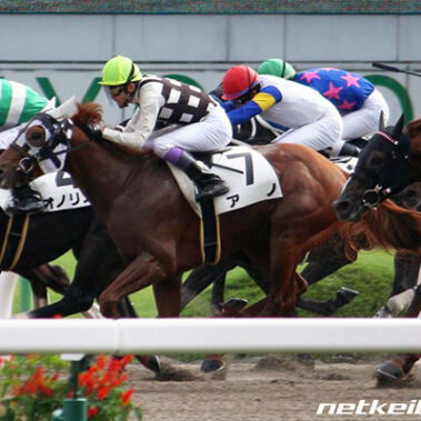 2020.02.28_ano_blog_1