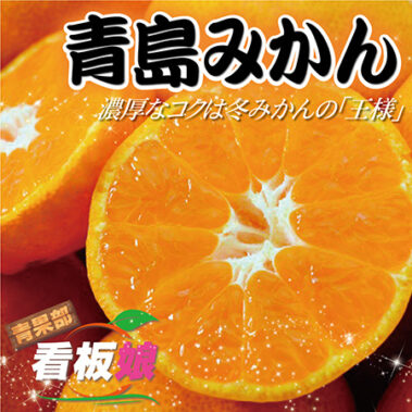 2020.02.29_honbu_blog_0