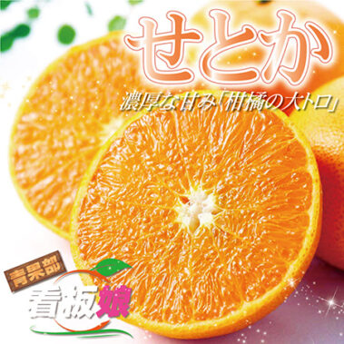 2020.03.15_honbu_blog_9