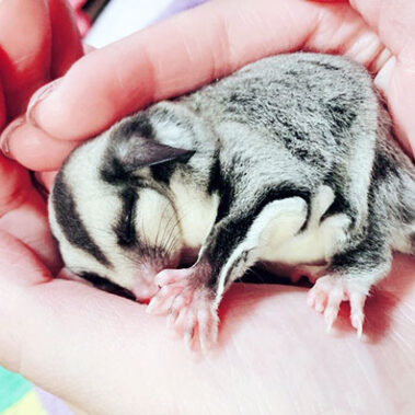 2019.06.25_morioka_blog_0