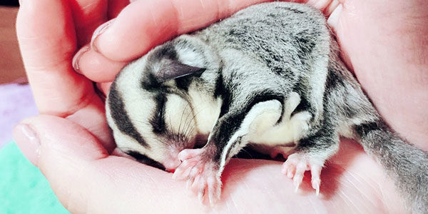 2019.06.25_morioka_blog_0