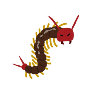 2020.06.23_kuchida_blog_1