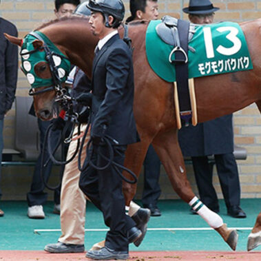 2020.07.20_shinden_blog_5