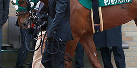 2020.07.20_shinden_blog_5