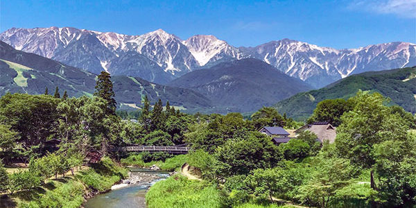 2020.7.14_ano_blog_3