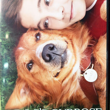 2020.08.01_honten_blog_7