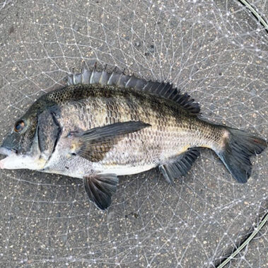 2020.08.05_higashihama_blog_3